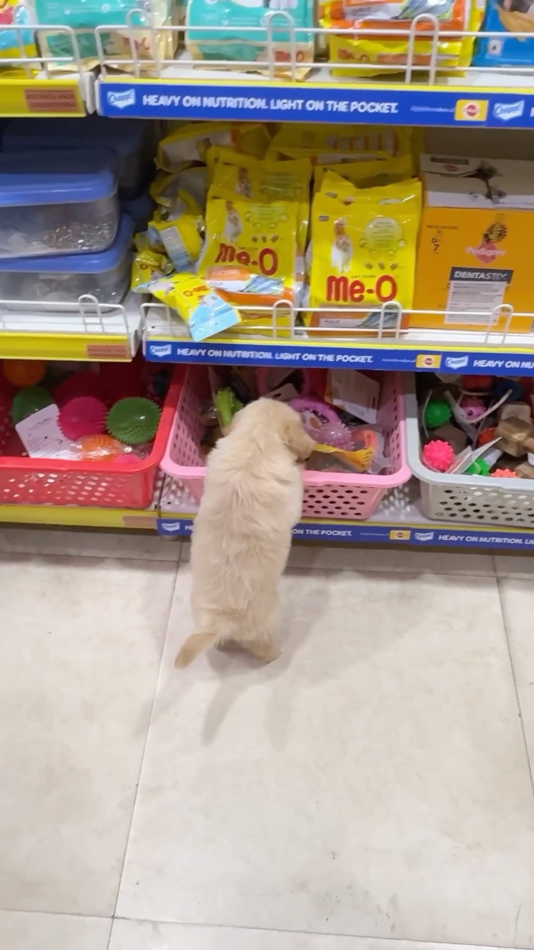 Leo ke baby ki shopping? #shorts | Anant Rastogi