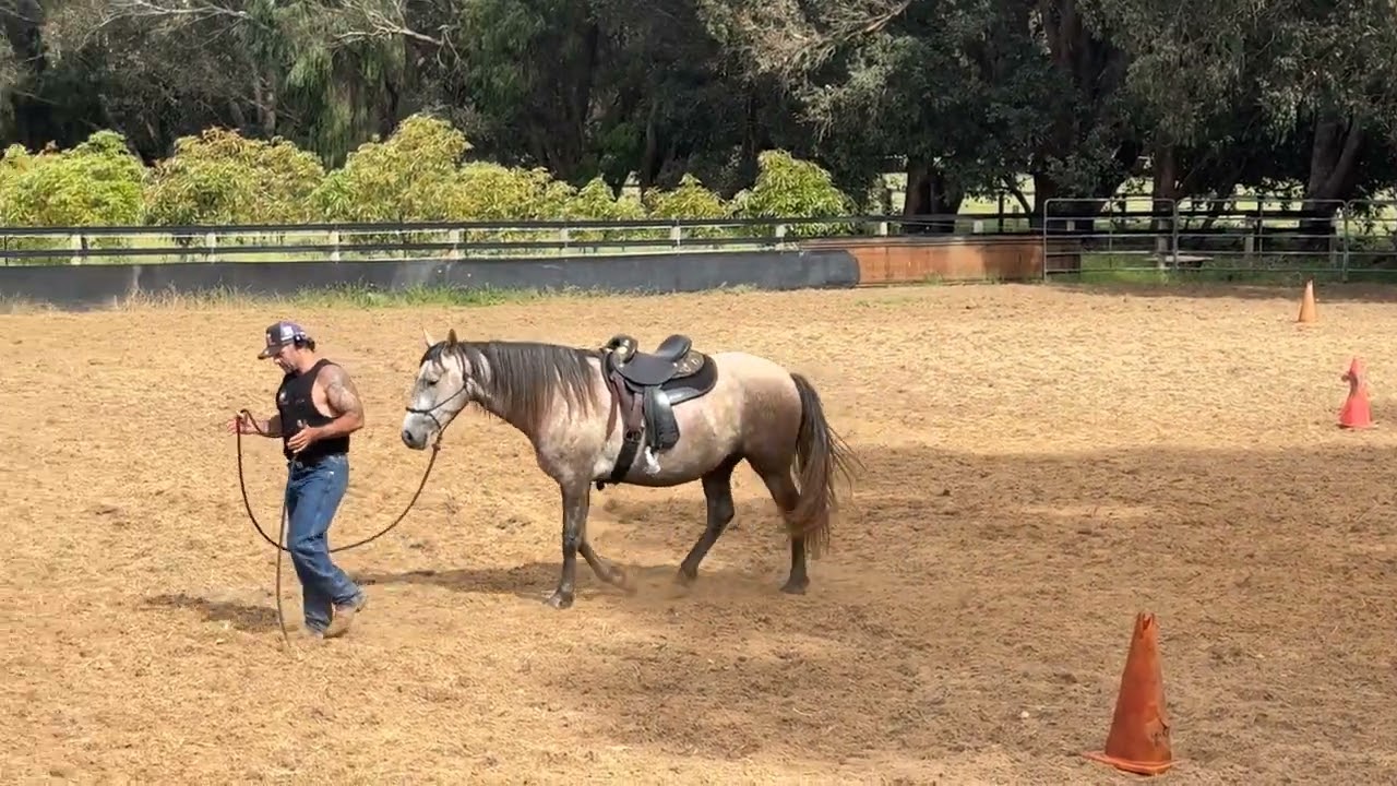 Problem solving - horses rushing through gates