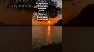 Bir Kuş Gibi Uçtu Ömrüm.🍂🕊 Yar Yüreğin Demirden Mi? Resimi