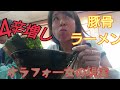 【家系】豚骨ラーメン ４辛増し・シュウマイセットを食べました【淋しい女の週末ボッチめし】SpicyTonkotsuNoodles 먹방 Eating show