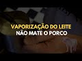 APRENDA A VAPORIZAR LEITE | VAPORIZAÇÃO DE LEITE | BARISTA WAVE