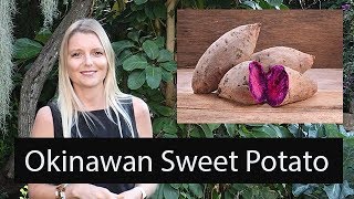 The Okinawan Sweet Potato