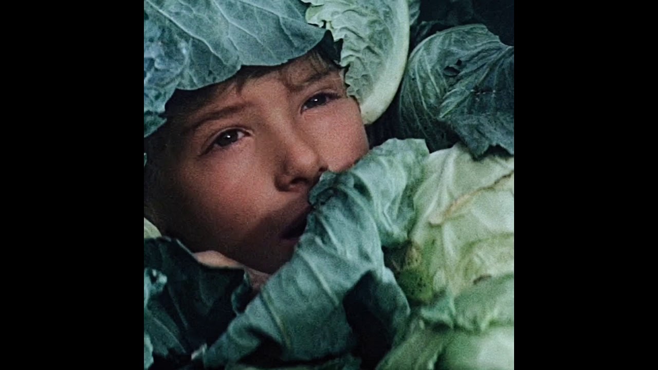 POGO - WINGS FOR DREAMERS ( slowed // down )