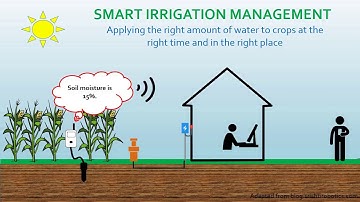 An Introduction: SARAI WAISS