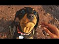 Can you pet the dog in Far Cry 6?