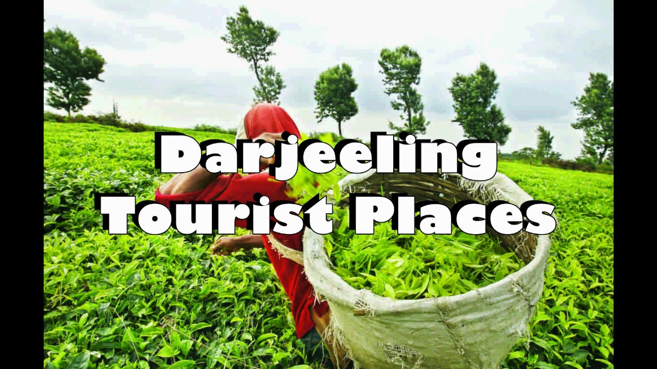 darjeeling tourist places