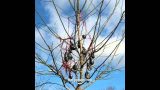 David Lynch Noah's Ark (Moby Remix) 12” David Lynch 'Noah's Ark' (Moby Remix) - YouTube