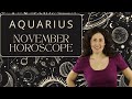 AQUARIUS - November Horoscope: Professional Warrior