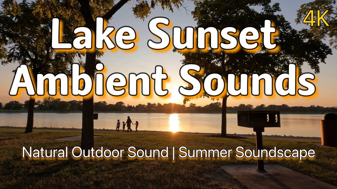 Peaceful Sunset Soundscape | Continuous Outdoor Nature White Noise