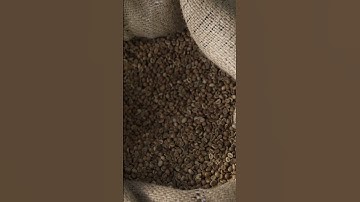 How to grind coffee beans?✨☕ #coffee  #groundcoffee  #PearlLemon