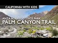 Palm canyon trail in anza borrego state park