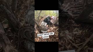 PYTHON CRUSHES MY LEGS!