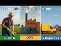 Economic Activities Around Us | Class 6 Social Science | Chapter 14 | Explained