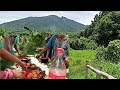 Buhay Bukid/Mukbang sa Bukid With Friends..