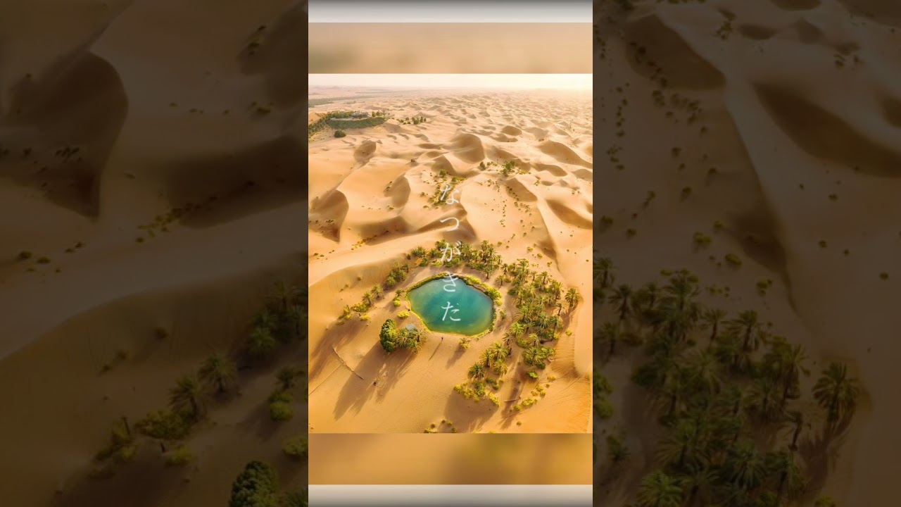 beautiful Oasis 😍❤️❣️.        