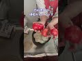 餃子の2日目。