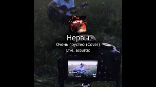 НЕРВЫ - Очень Грустно (skyjax cover, live, acoustic)