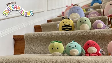 Squishmallows Music Video Contest Runner-Up-  Chandler