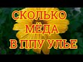 СКОЛЬКО МЁДА В ППУ УЛЬЕ НА 21 06 2020г