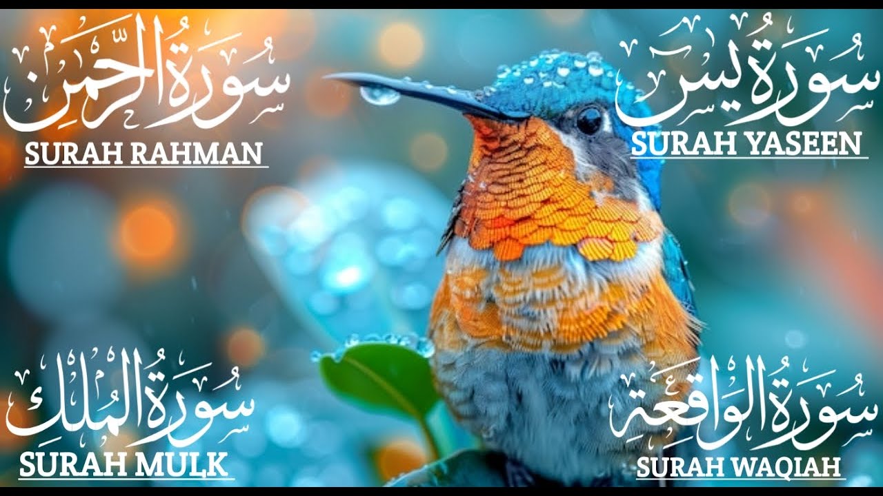 Surah Yaseen (Yasin) | Surah Rahman | Surah Waqiah | Surah Mulk | Beautiful Quran Recitation EP: