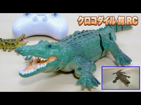 ワニの泳ぎがリアル過ぎ🐊 クロコダイル 鰐 RC