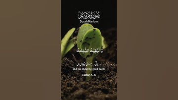 سورة مريم: ٧٦ || مؤيد المزين🌱🕊️