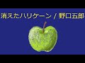 【オルゴール】消えたハリケーン / 野口五郎