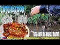 Catch & Cook native Tilapia | Maraming Tilapia nahuli namin | EP-83 BUKIDNON