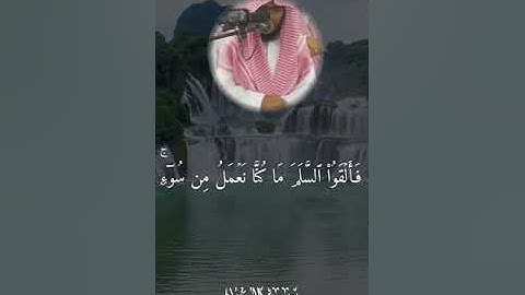 تلاوة عطرة من سورة النحل بصوت الشيخ بندر العنبري تراويح عام 1444 هجرية