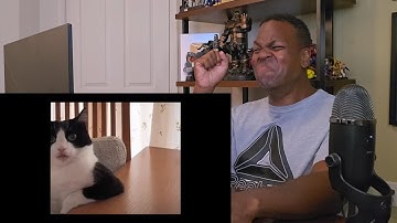 Try not to laugh CHALLENGE 59 - by AdikTheOne - Reaction!