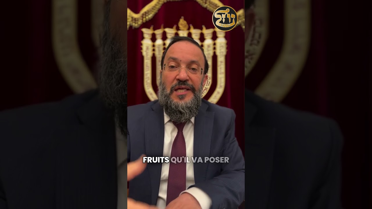 39 - Les préparatifs du #Chabat | Partie 2 | Rav Dagani Cohen | Hilkhot Chabat #halakha