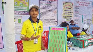 Game On Probability||Mathmatical Project||State Level Science Exhibition||Dkl||Science Project😍😍✌✌