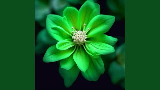 Emerald Bloom