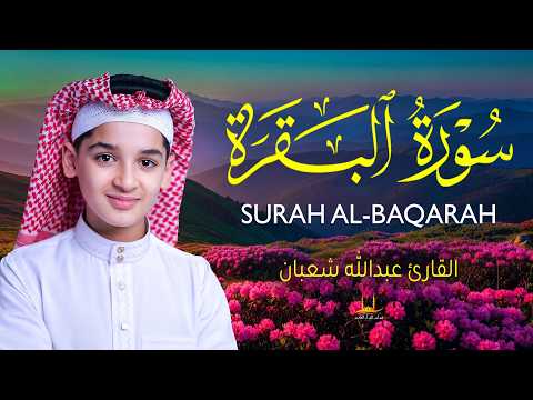 سورة البقرة - (كاملة)  تلاوة القرآن الكريم بصوت عاطفية - القارئ عبدالله شعبان