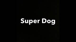 Super Dog Theme