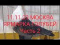 11 11 23 МОСКВА. ЯРМАРКА ГОЛУБЕЙ. часть 2