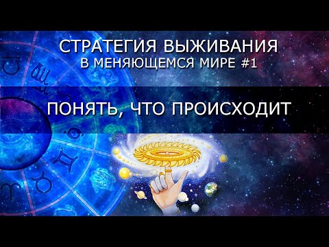 Стратегия выживания #1: Понять, что происходит