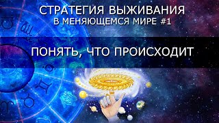 Стратегия выживания #1: Понять, что происходит