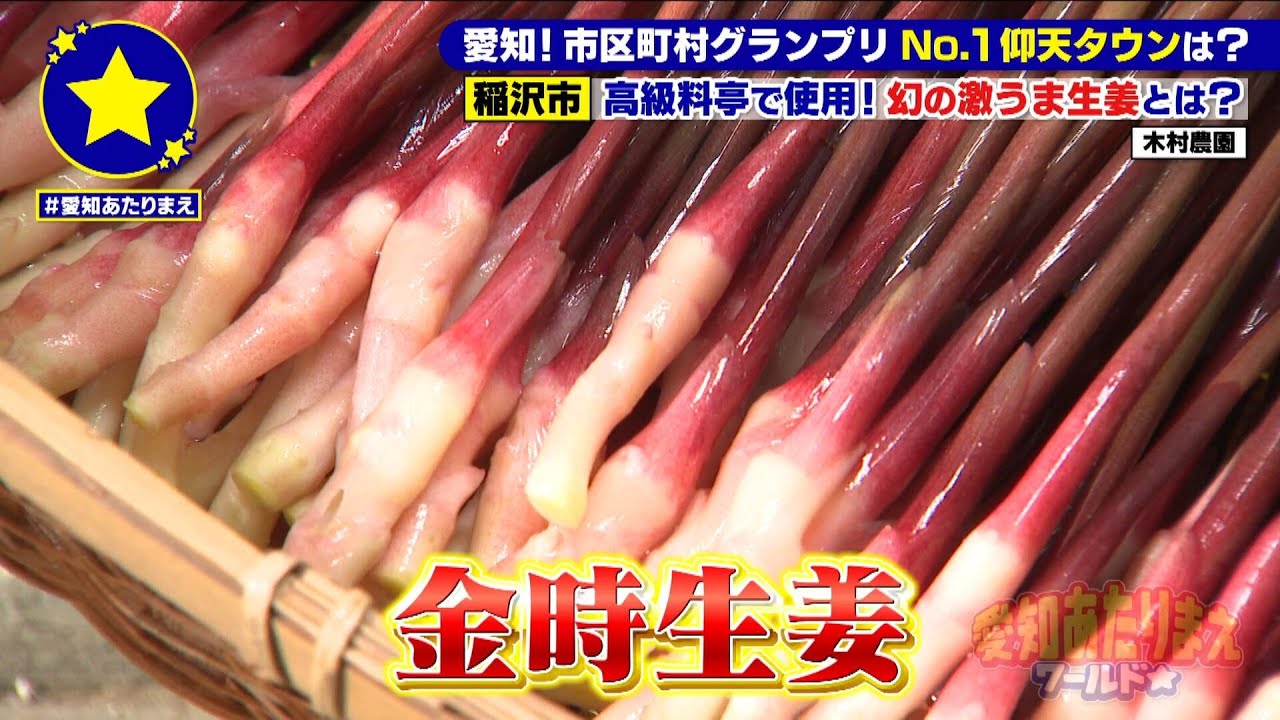 【稲沢市】高級食材“幻のショウガ”…伝説の料理人が絶品御膳に！！【愛知あたりまえ】