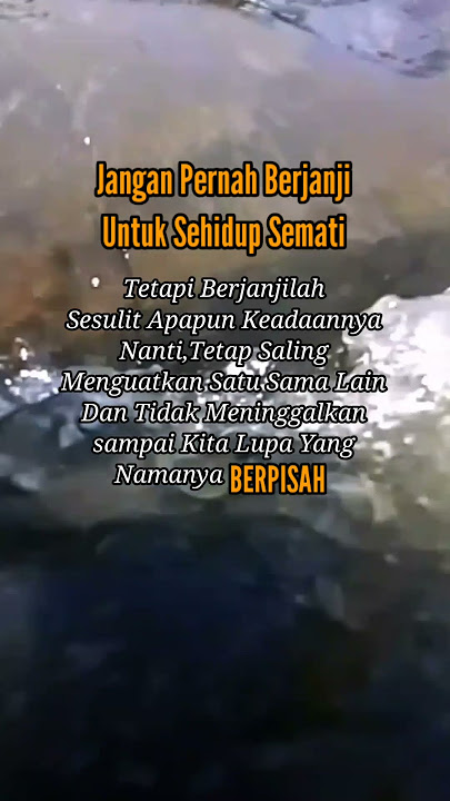 Kata-kata bijak kehidupan | Story Wa | Update Status