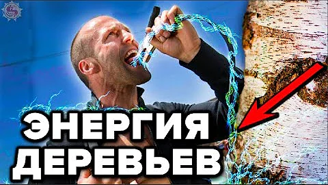 ДЕРЕВЬЯ КОТОРЫЕ ДАЮТ И ВЫКАЧИВАЮТ ЭНЕРГИЮ 🌳 БИОЭНЕРГЕТИКА ДЕРЕВЬЕВ - НАУКА О КОТОРОЙ МОЛЧАТ