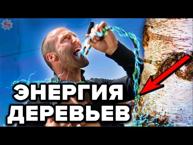 ДЕРЕВЬЯ КОТОРЫЕ ДАЮТ И ВЫКАЧИВАЮТ ЭНЕРГИЮ 🌳 БИОЭНЕРГЕТИКА ДЕРЕВЬЕВ - НАУКА О КОТОРОЙ МОЛЧАТ