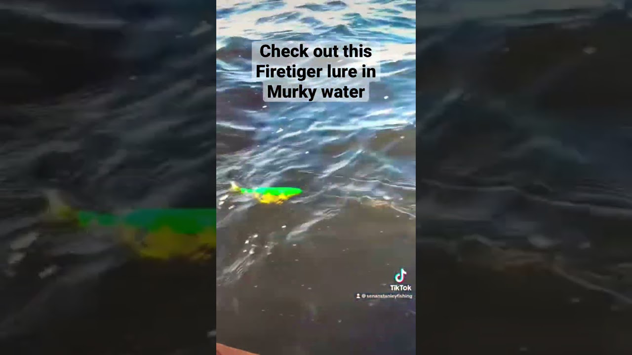 Check out this Firetiger lure in murky water 👌 