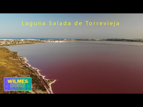 Torrevieja Laguna 4k