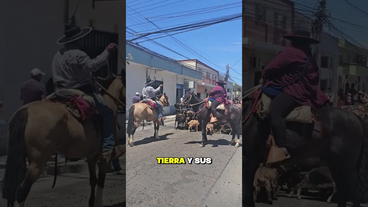 dia de la trashumancia en Illapel