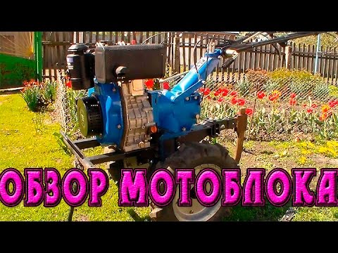 Video: Motoblock Prorab: Diiselmudelite GT 80 RDK Ja 709 SK Omadused. Mis Siis, Kui See Laseb Summuti?