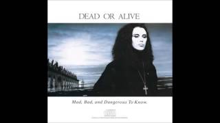 Dead or Alive - Hooked On Love