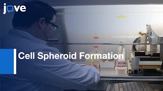 Bioprintable Alginate/Gelatin Hydrogel 3D Model Systems: Cell Spheroid Formation l Protocol Preview