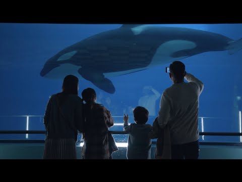 Video: Moskva okeanaarium VDNKh-s: kirjeldus, lahtiolekuajad ja külastajate ülevaated