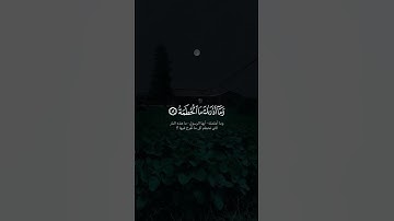 سورة الهمزة #احمد_العجمي #قرآن #quran #follow #fyp